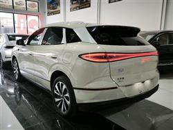 بي واي دي سيليون 06 DM-i